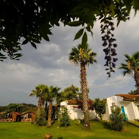 Hotel Kasaba Butik 3*