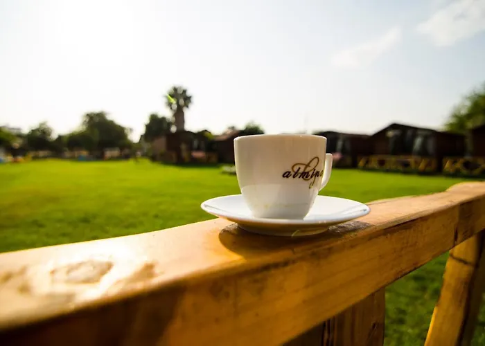 Kasaba Butik 3* フェティエ