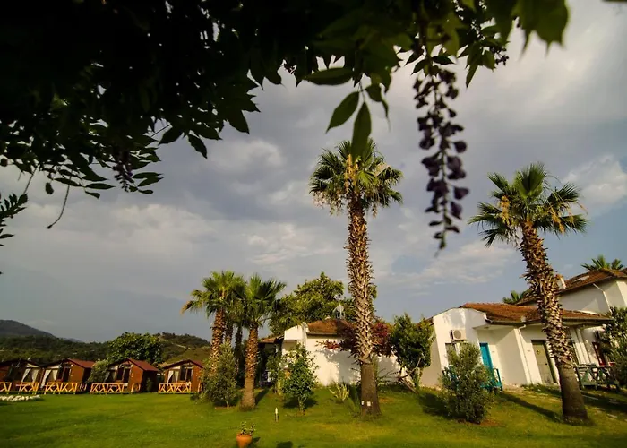 ホテル Kasaba Butik 3*